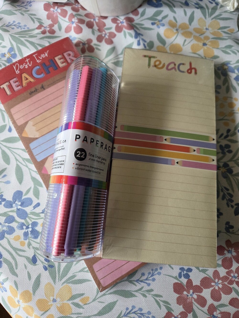PAPERAGE 22-Piece Fine Liner Pen Set with Teacher Notepads - Multicolor